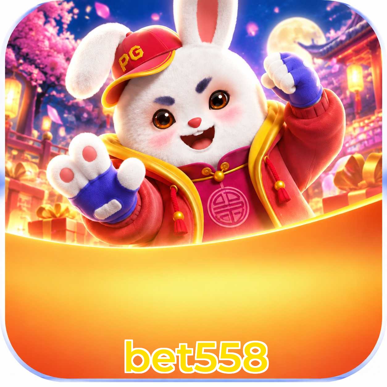 Cadastros recentes verificados na plataforma bet558