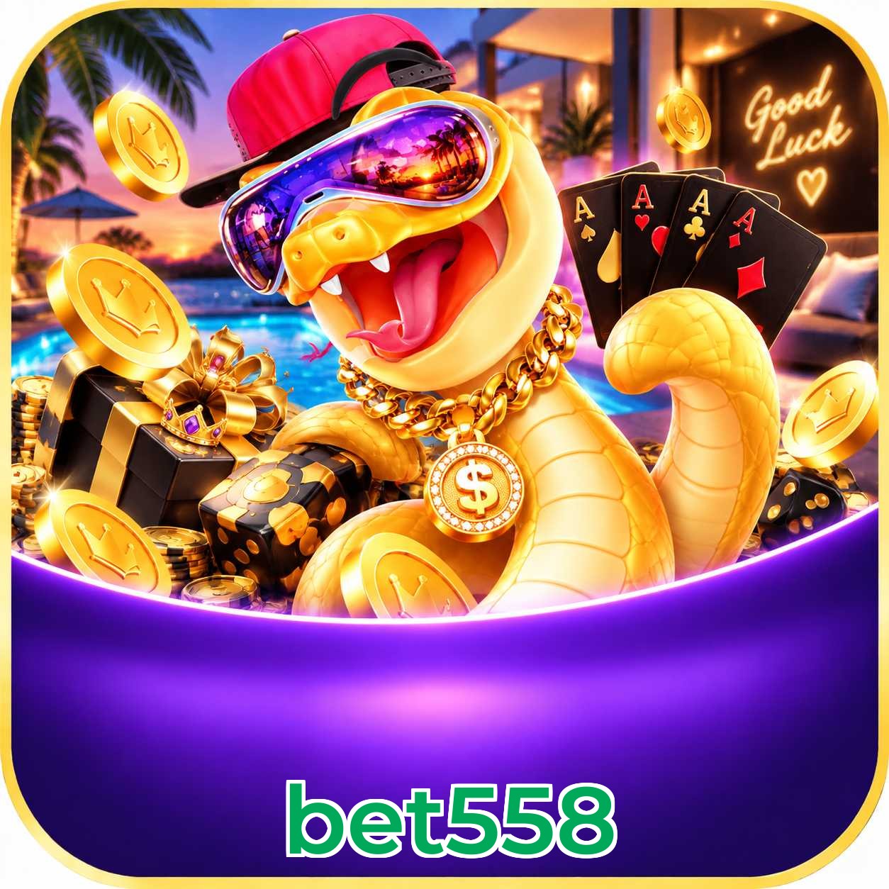 bet558 em números - plataforma líder no Brasil desde 2020